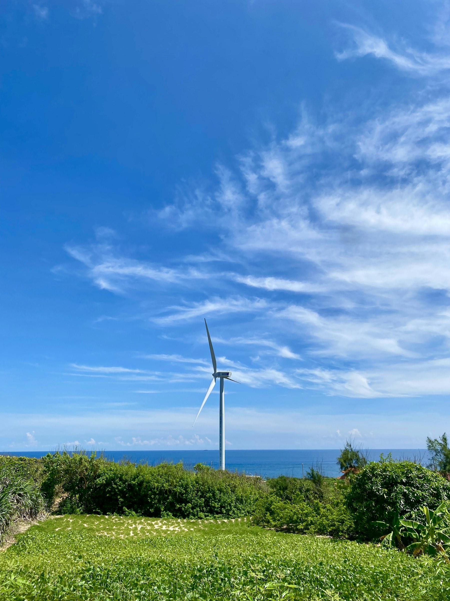 Wind turbine on Phu Quy Island beside the coast