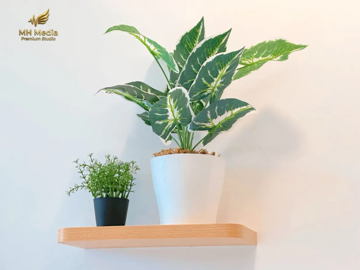 Villa An Nhiên — Đơn Lập 2PN Ấm Cúng Khu 7 — ảnh 4
